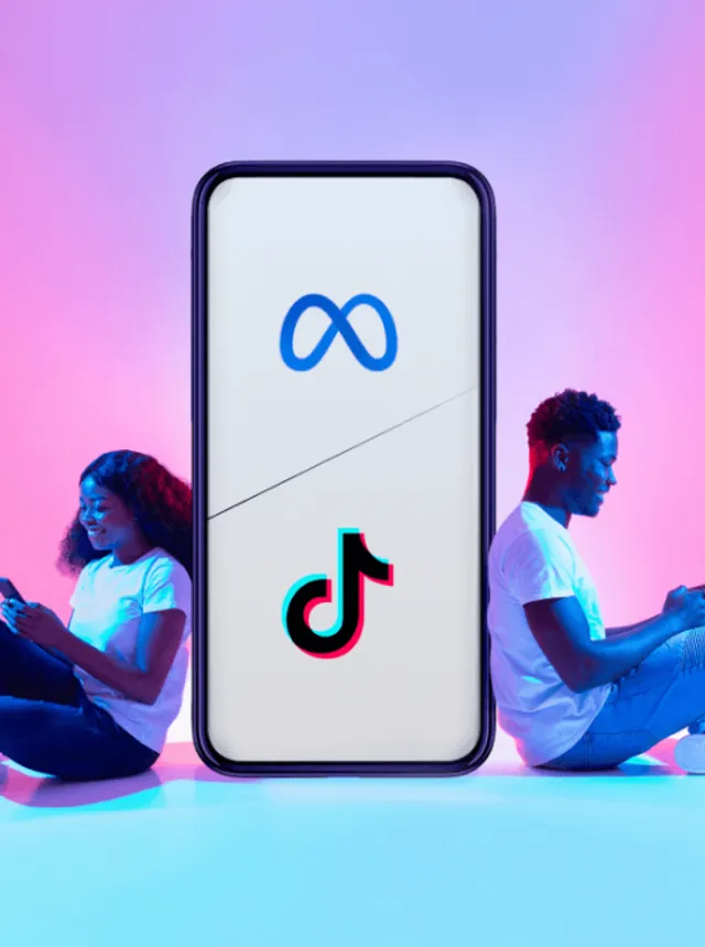 Meta Ads and TikTok Ads management for Algerian businesses — paid social campaigns